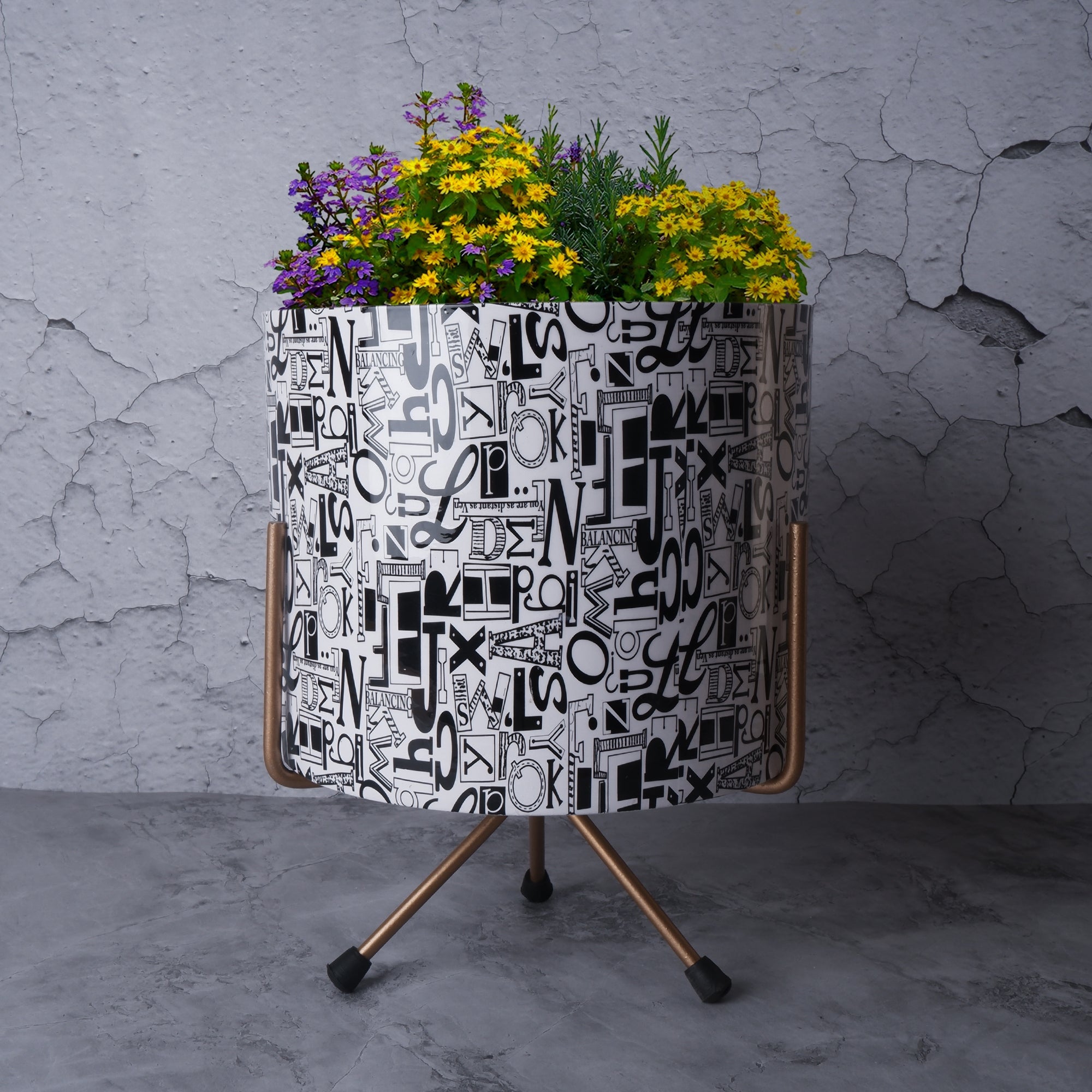 Designer metal flower pot with modern graphic design and colorful flowers for stylish home decor